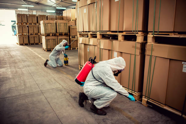 Best Bed Bug Extermination  in Silver Springs Shores, FL