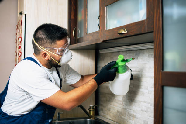 Best Commercial Pest Control Services  in Silver Springs Shores, FL