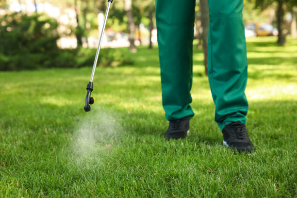 Pest Control Cost in Silver Springs Shores, FL