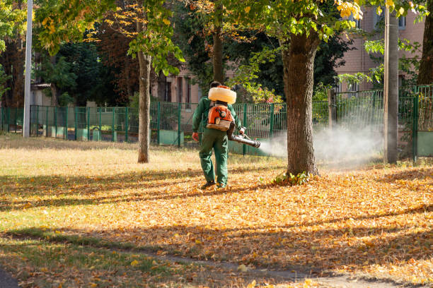 Best Exterminator Services  in Silver Springs Shores, FL